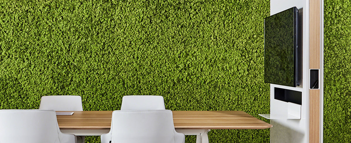 Green Background in a Conference Room Image