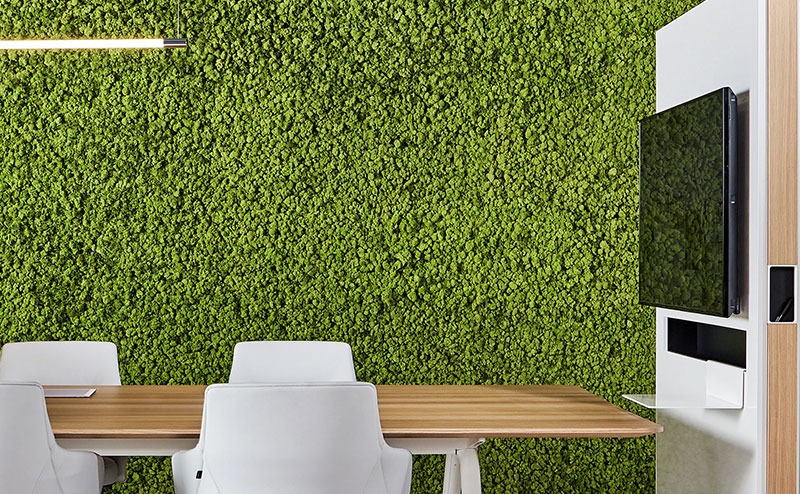 Green Background in a Conference Room Image