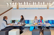 HR Advocates Help Create the Right Work Space Image