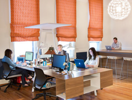 The Team Working in the Office Image